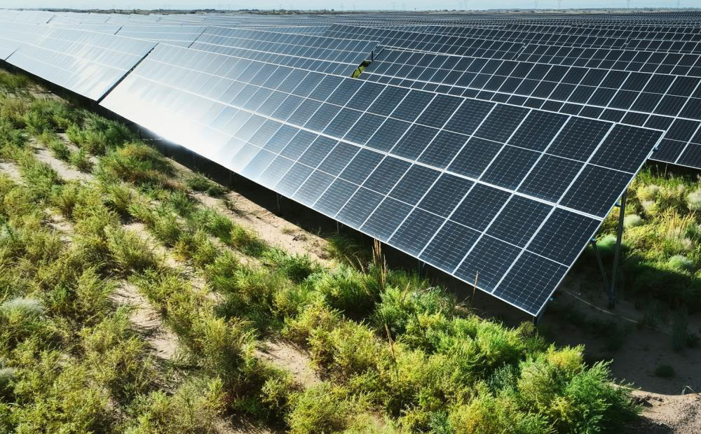 ����ֹ��֧��