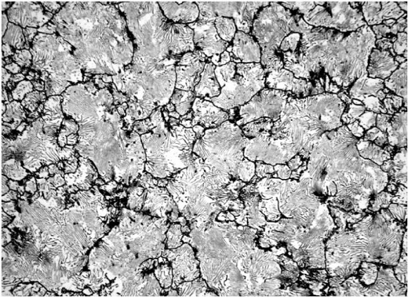 Ӱ��304����ֹ���֯���ܵ���������Ʋ���