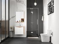 �������Ʒ��Ӧ�����򡪡���ԡ