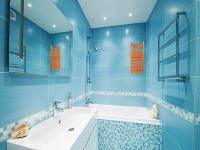 ��ԡ�������Ʒ���Ĵ�����Ҫ��