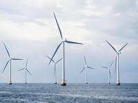 ����ֹ��ڷ�������Ӧ��