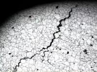 �������Ʒ�ܼӹ��Ѻ۵ı�������