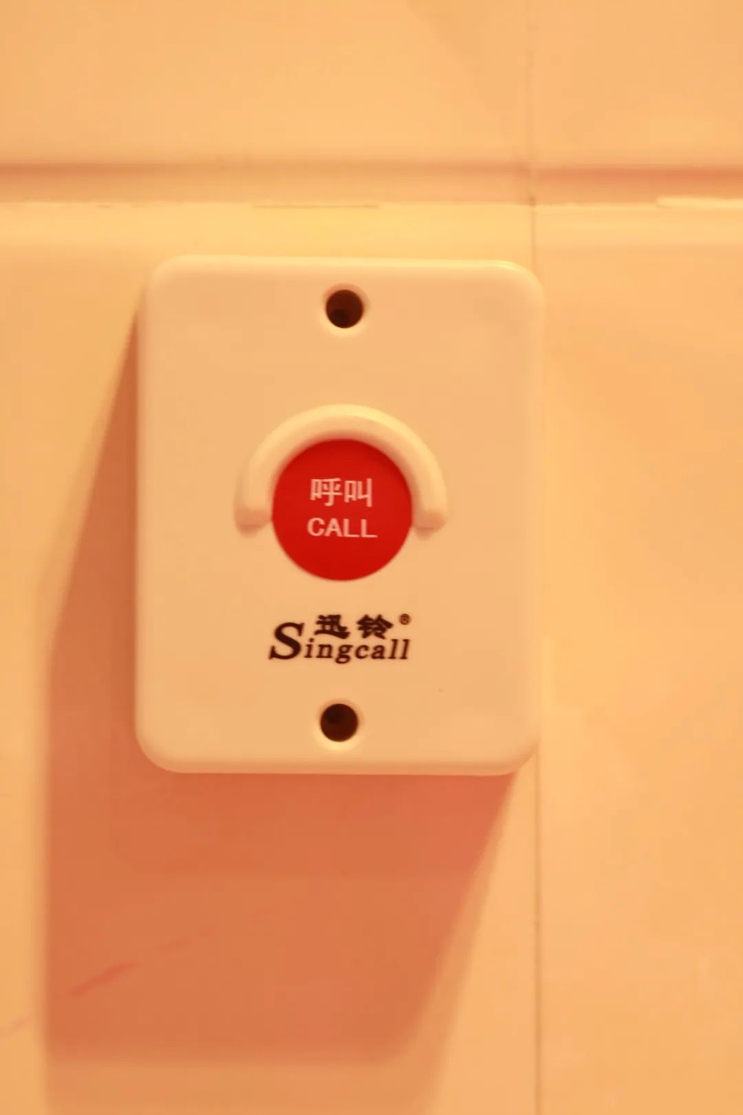 166720431863072592.jpg